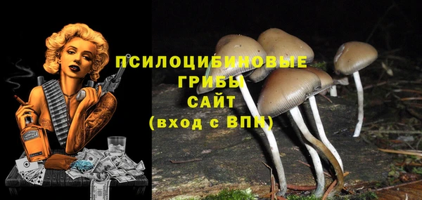 твердый Покров