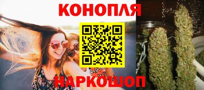 шишки Бийск