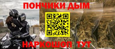 шишки Бийск