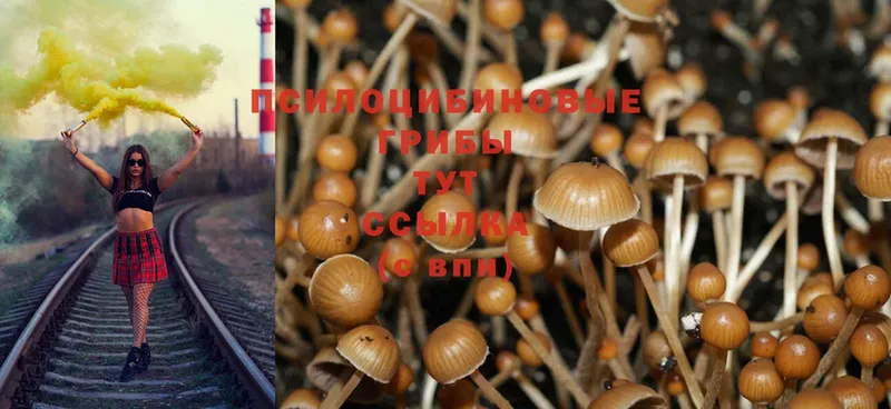 Галлюциногенные грибы Cubensis  MEGA   Старая Купавна 