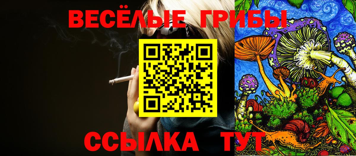 Галлюциногенные грибы ЛСД  наркота  Галлюциногенные грибы Psilocybine cubensis  Старая Купавна  Вход с VPN 