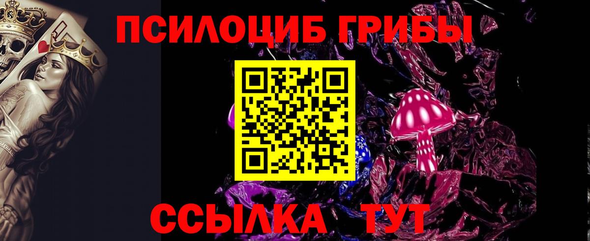 Галлюциногенные грибы GOLDEN TEACHER  Псилоцибиновые грибы Cubensis  Старая Купавна 